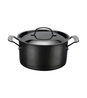 6-Quart Stainless Steel Covered Stockpot Black Mica Shine