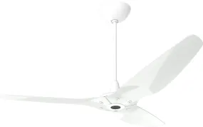 60" Haiku Outdoor Fan (Universal Mount)