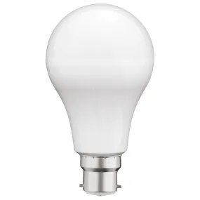 A60 Day Light B22 LED Globe