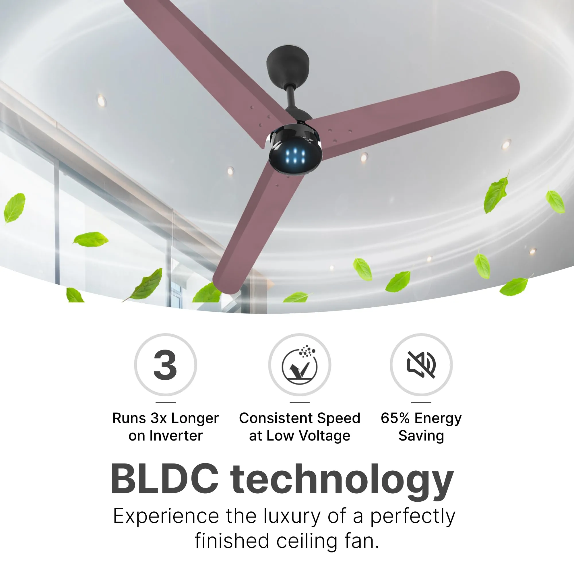 Candes 1200mm Bldc Ceiling Fan with LED Indicator | BEE 5 Star High Speed fan for Home | Silent Remote fan | 6 Speed Levels | High Air delivery | Energy Saving | 2 Yr Manufacturer Warranty | Brown