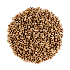 Coriander Seed