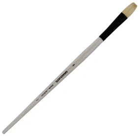 Daler Rowney Graduate Brush Long Handle Bristle Long Flat 8x14mm