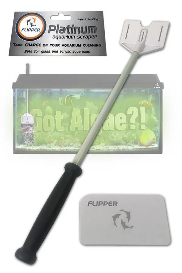 Flipper Platinum Hand Scraper