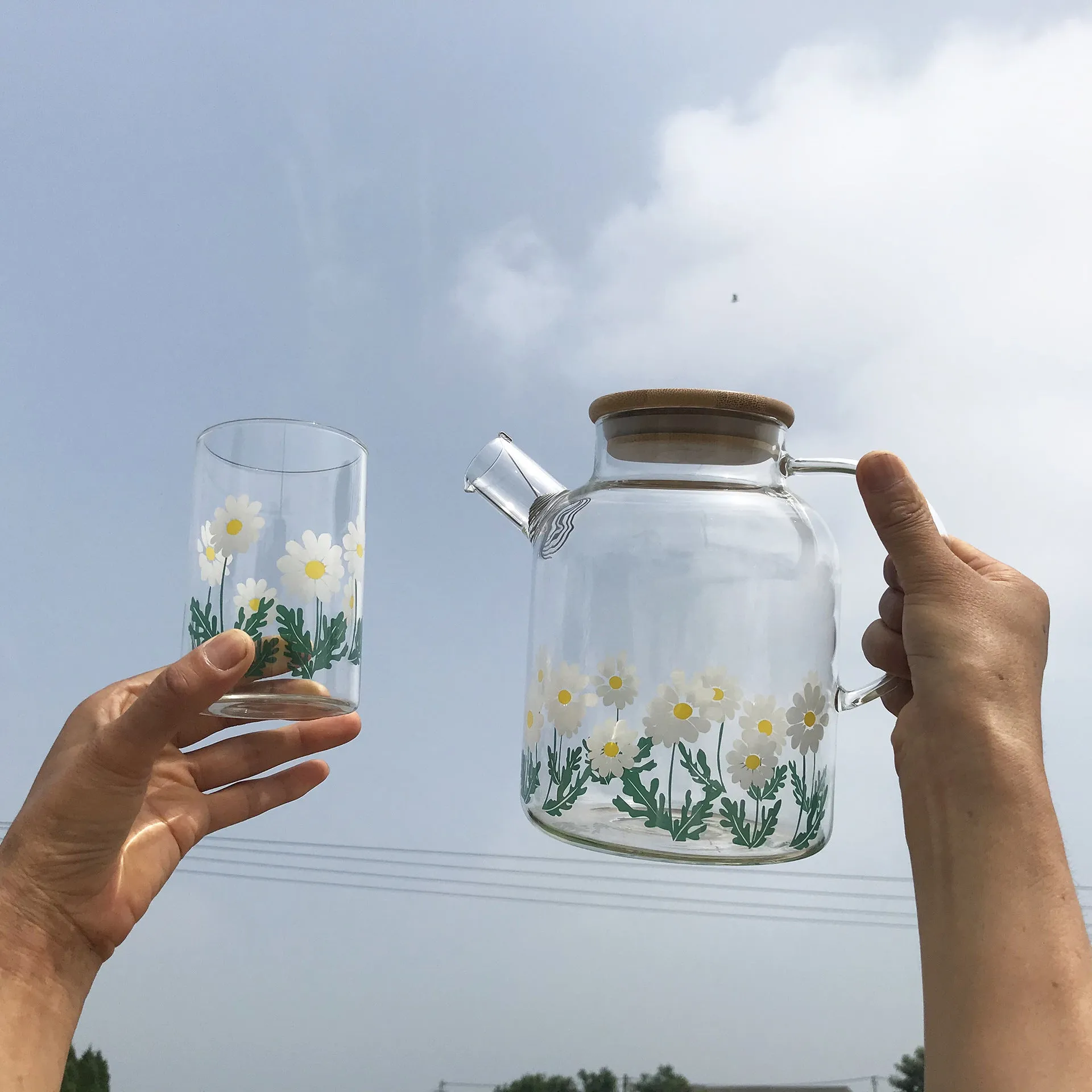 Glass Little Printed Glass Jug Set Summer Cold Water Bottle