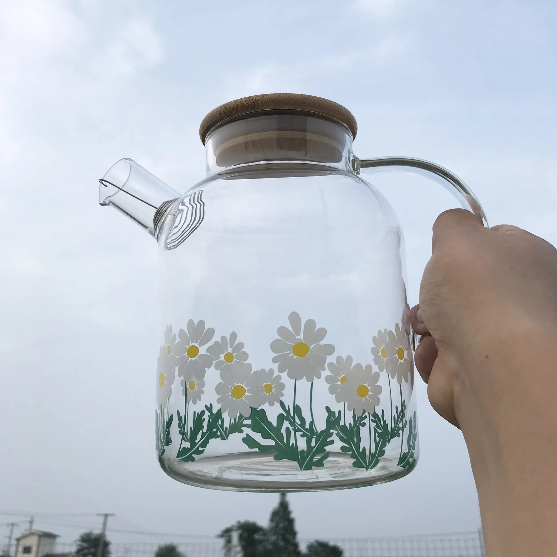 Glass Little Printed Glass Jug Set Summer Cold Water Bottle