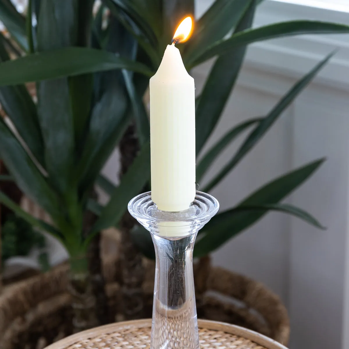 Library Candles (Ivory)